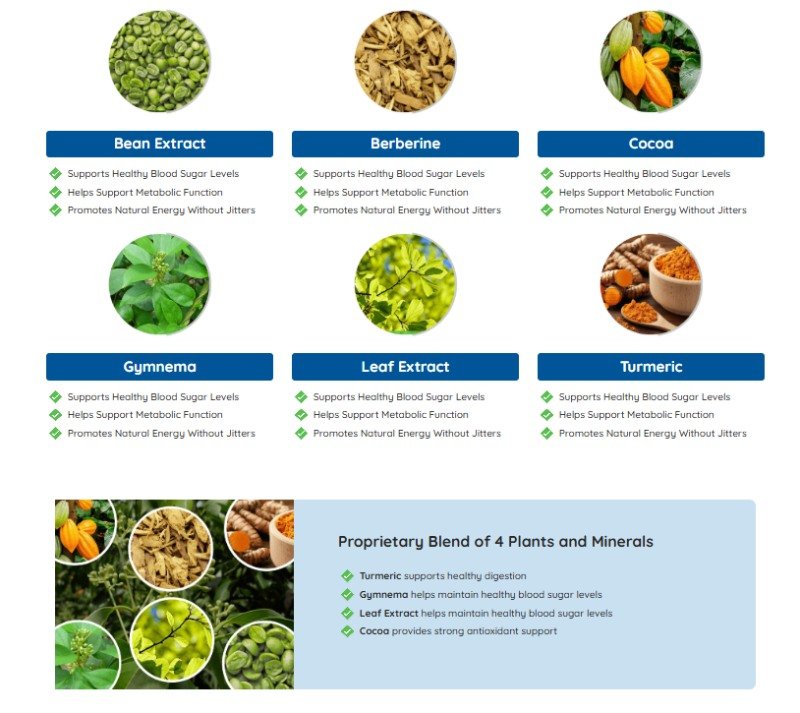 Gluco Extend botanical blend